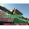 一亩芭蕉芋能产多少斤&[芭蕉芋批发]$云南芭蕉芋广东采购点