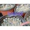 绿春/建水花卉苗木批发13708488656