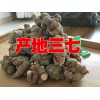 正宗20头超细粉批发销售@云南三七[20_60头]价格播报