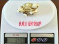 云南白芨种苗Ⅴ云南三叉白芨种苗