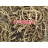 云南\续断、当归、附子、草乌种植基地销售|云南中药种植网