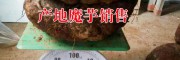 云南魔芋种植示范社(基地)