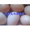 昭通常年供应成品鸡和鸡蛋
