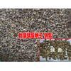 续断种子图片%续断种子多少钱一公斤#13669789612