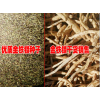 云南金铁锁种植报价#优质金铁锁销售报价中心&云南金铁锁460