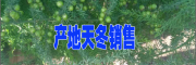 产地大天冬哪里的好#