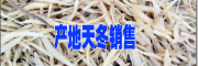 天冬销售价格$天冬种苗销售供应商