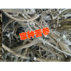 贵州什么中药材贵苦参种子价格#苦参种子多少钱一斤?