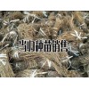 哪些地方适合种植当归-当归产地分布区域