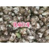 云南三叉白芨种苗价格@白芨种子多少钱一斤#云南白芨种植基地