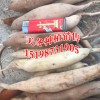 滇丹参价格#滇丹参中草药哪里卖