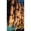 大型莲藕种植基地每日供应量40000斤左右寻求采购商
