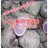 红薯目前已大量上市销售#红薯价格多少一斤@