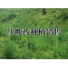 续断销售价格?今日续断是多少钱