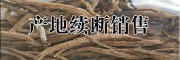 云南续断种植基地信息