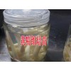 黄精组培育苗技术培训_组培生产学习