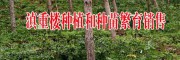 哪里有中药材产品回收公司