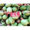 出售云南核桃信息◆核桃批发在哪里◆云南核桃产地价格多少一斤