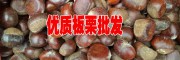 云南栗子多少一斤◆云南板栗（也叫栗子）网