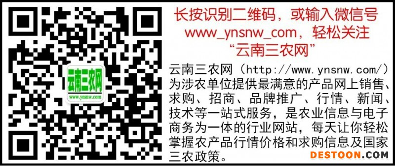 网站专用，二维码