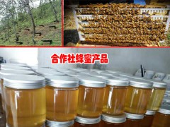 云南普洱蜂蜜种类有哪一些？