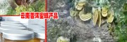 缪思位-促蜂农增收-云南省蜂业技术学会常务理事单位