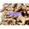 黄精药材种植#云南/四种黄精种植多少钱?