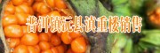 今年滇重楼干货多少价格