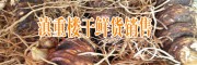 云南普洱境内重楼种植公司信息