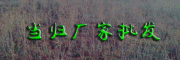 建水当归种植技术开发中心