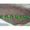 云南当归种子产地#红河州当归中药材种籽+当归种图片