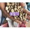 半夏的市场价格_旱半夏价格中心_鲜旱半夏新价格