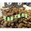 |?昭通市天麻研究院 |昭通天麻批发市场|