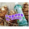 滇重楼在哪里购买到正品@