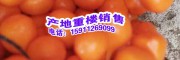 华重楼与滇重楼如何区别