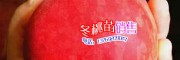 中华2号冬桃示范社*云南冬桃合作社