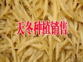 昆明天冬批发市场报价(种植户)#2017天门冬销售价格在多少