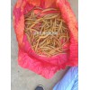 大量求购云南大天门冬干品