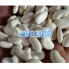 云南白芨图片_云南保山白豆产地信息