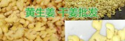 河州干姜%洗姜销售批发，红河屏边洗马塘姜厂出售洗姜