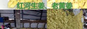 红河优质中药用干姜片批发价格，干姜片图