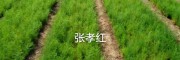 云南青野中药材开发有限公司[15368086541]
