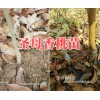 圣母香桃苗-昆明香桃苗批发价-昭通香桃苗基地