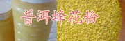 云南土蜂花粉、土蜂蜜产品销售商-普洱蜂蜜