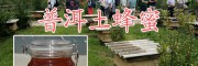 云南蜂蜜合作基地、土蜂蜜产品加工销售，土蜂花粉