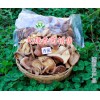 云南香菌干销售&熊掌菌批发-大理菌特产供应