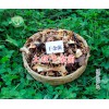 云南干杂菌-干杂菌批发价是多少？大理干牛肝菌特产商