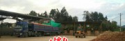 云南低硫姜片销售、低硫姜批发，曲靖生姜加工