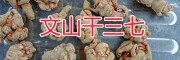 文山自产三七：干三七销售-文山三七干批发价格