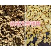 云南曲靖药厂姜曲靖洗姜加工厂-泡姜销售批发-